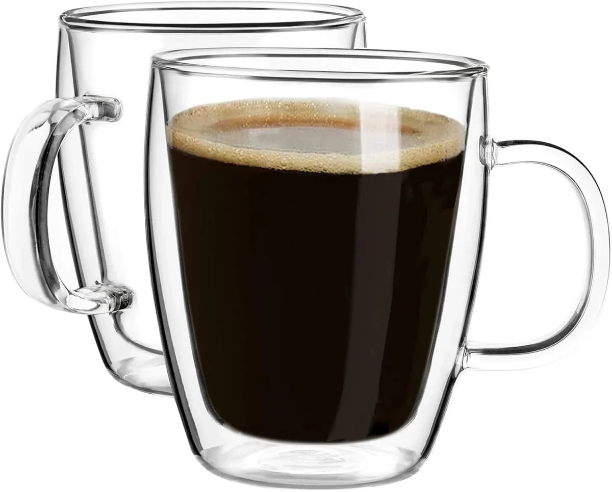 Double Wall Glass Mug