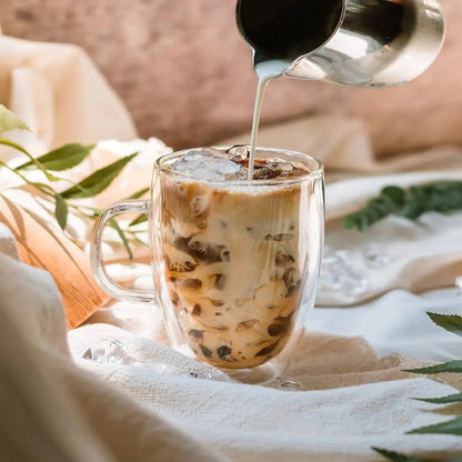 Double Wall Glass Mug